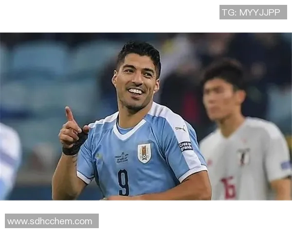 权威发布排球意识实力榜单揭示各队实力差距与发展潜力分析