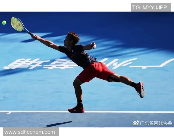 与杨军畅谈网球生涯的辉煌与挑战之路