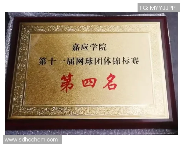 深入探讨杭州网球队技术表现的数据分析与提升策略