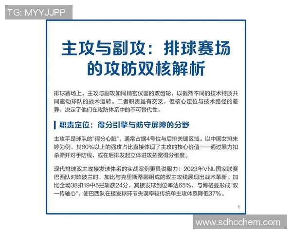 广州排球队进攻战术解析与热点关注全面解读