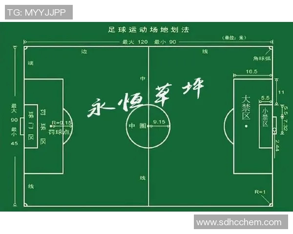 从零基础到足球耐力提升的全面指南与训练计划分享