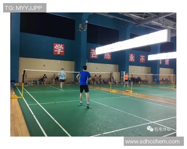 探索杭州羽毛球队运营模式的深度分析与发展策略