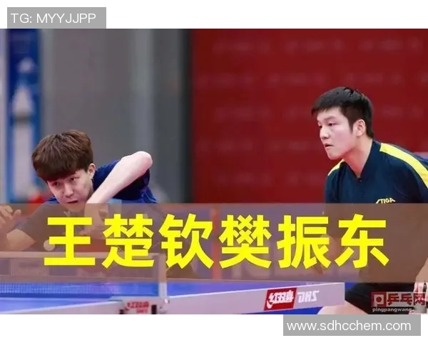 英超乒乓球盛宴揭秘上海乒乓球队默契配合与训练秘诀