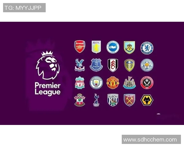 英超网球深度解析武汉网球队防守策略与战术布局