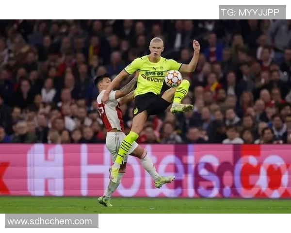 英超羽毛球技术全解析从零基础到高手的全面攻略 英超羽毛球技术全解析从零基础到高手的全面攻略