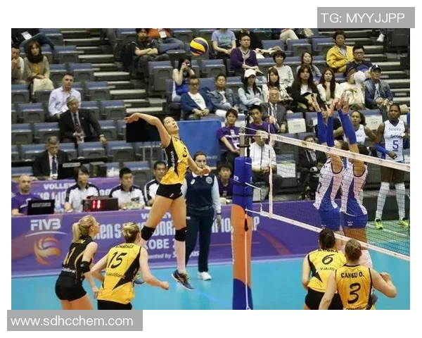 周强独家分享排球技巧与欧冠足球赛事的精彩瞬间与心得体会