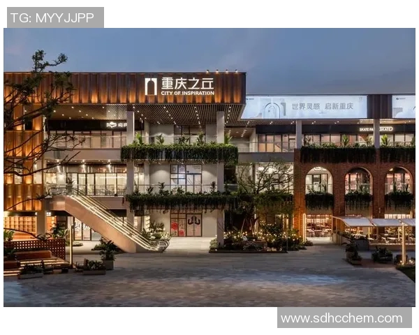 南京滑板队的运营策略与运动专业视角的深度解析