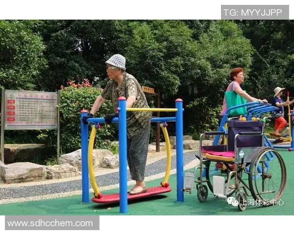 深入解析上海飞盘队实力对比与体育发展趋势的独特视角