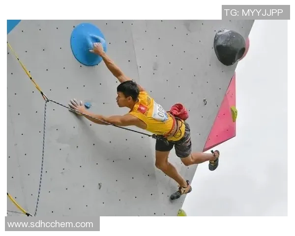 运动攀岩评论上海攀岩队区域防守的优缺点与体育发展分析