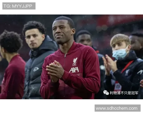 重庆排球队节奏分析与欧冠足球的得失对比探讨