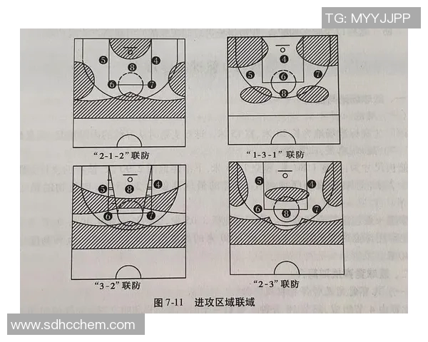 运动最新数据杭州篮球队转换战术深度解析与未来发展展望 运动最新数据杭州篮球队转换战术深度解析与未来发展展望